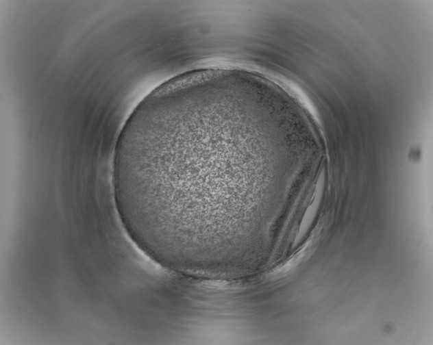 X0000091000855200708161937