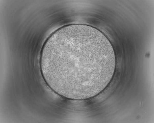X0000091000856200708161937