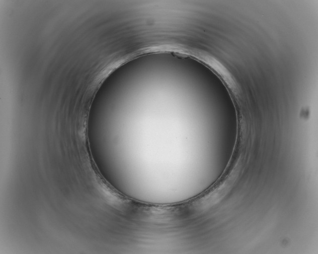 X0000091000857200708161937