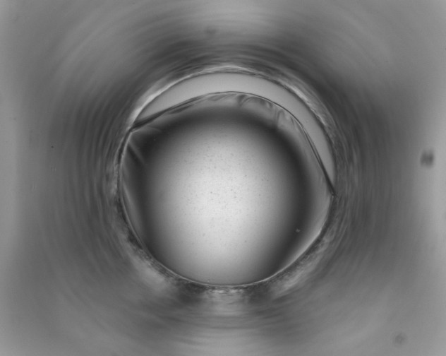 X0000091000858200708161937