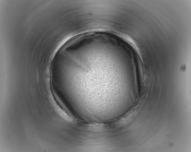 X0000091000859200708161937