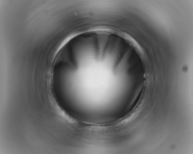 X0000091000860200708161937