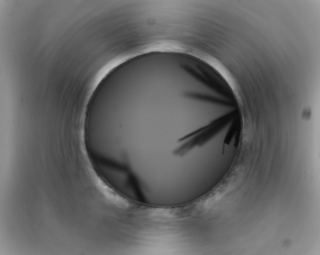 X0000091000861200708161937