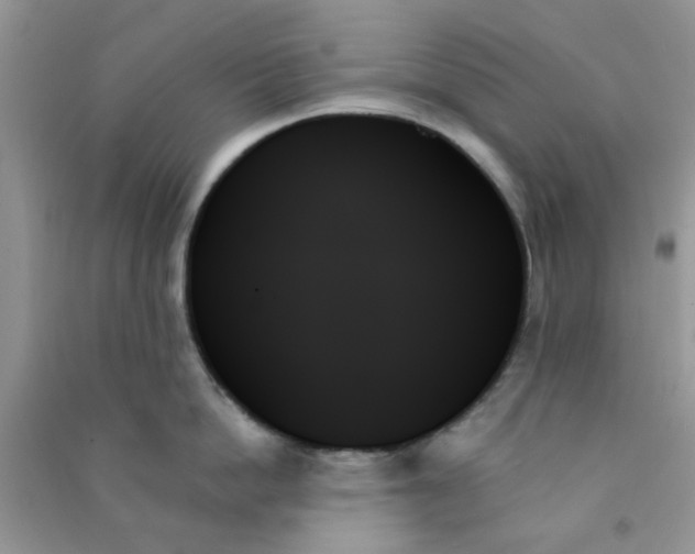 X0000091000862200708161937
