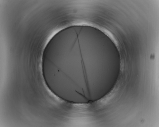 X0000091000863200708161937