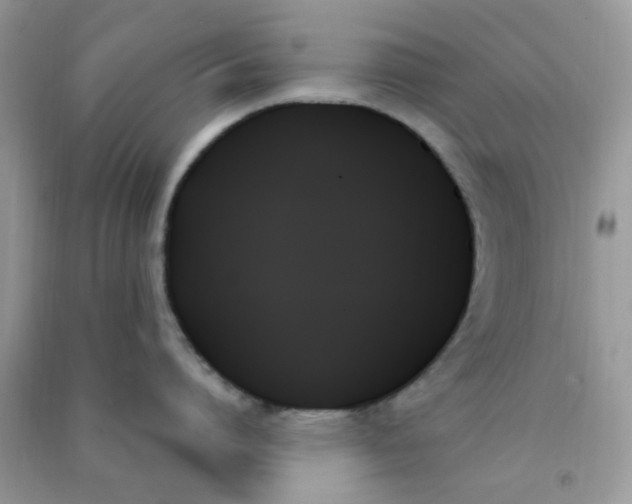 X0000091000864200708161937
