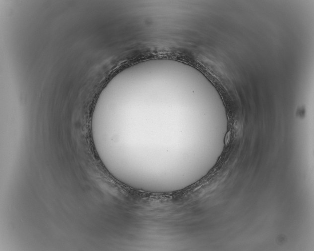X0000091000865200708161936