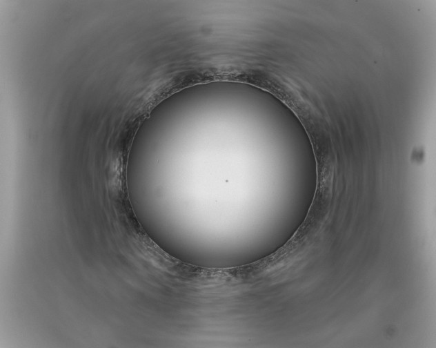 X0000091000866200708161936