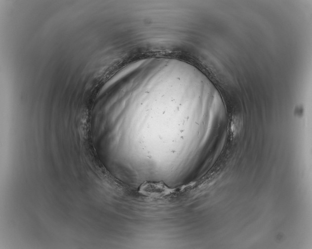 X0000091000867200708161936