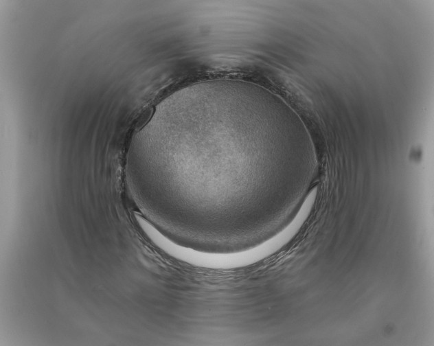 X0000091000868200708161936