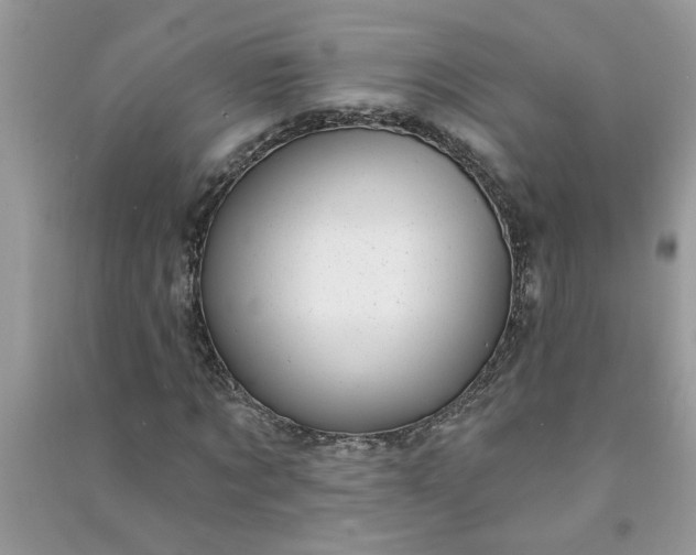X0000091000869200708161936