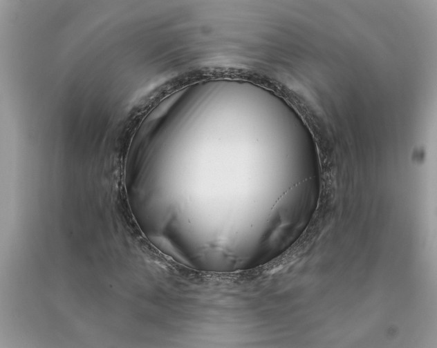 X0000091000870200708161936