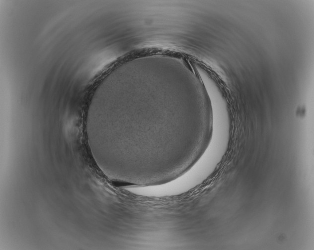 X0000091000872200708161936