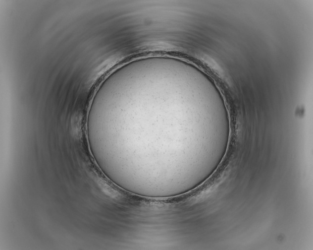 X0000091000873200708161936
