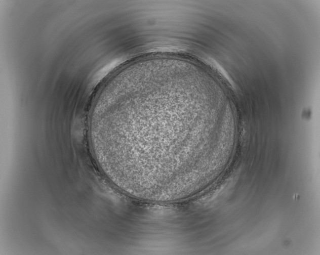 X0000091000874200708161936