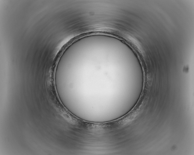 X0000091000875200708161936