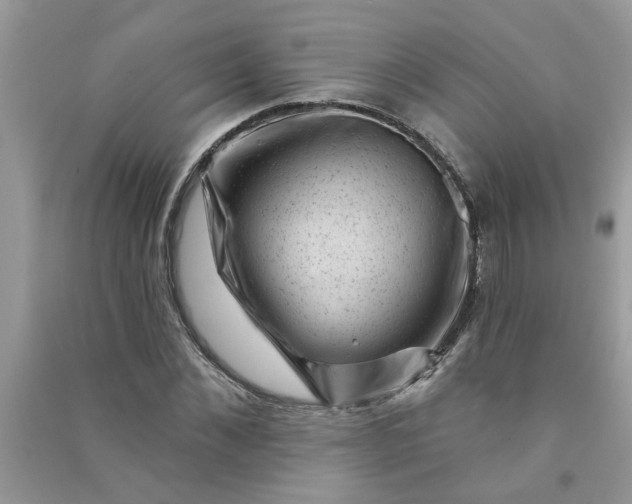 X0000091000876200708161936