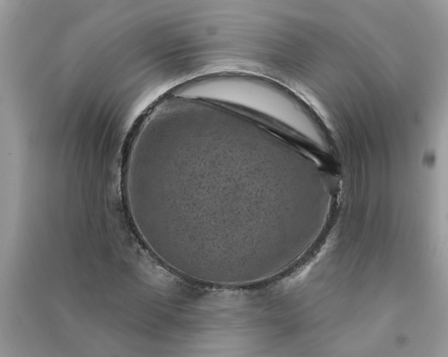 X0000091000877200708161936