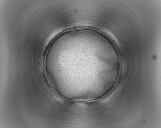 X0000091000878200708161936