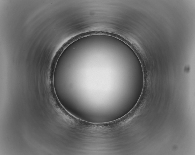 X0000091000880200708161936