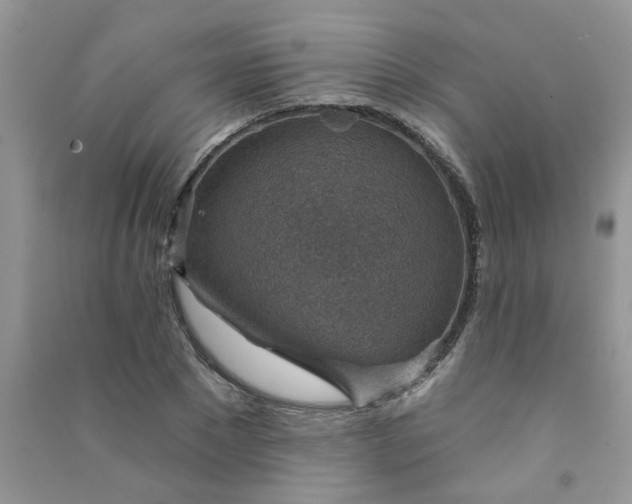 X0000091000881200708161936
