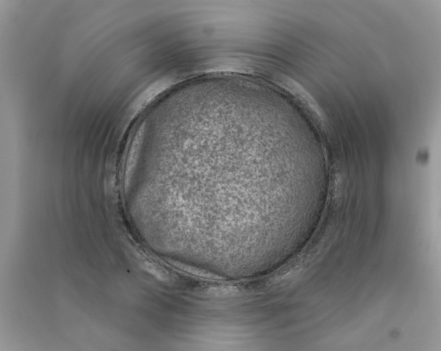 X0000091000882200708161936