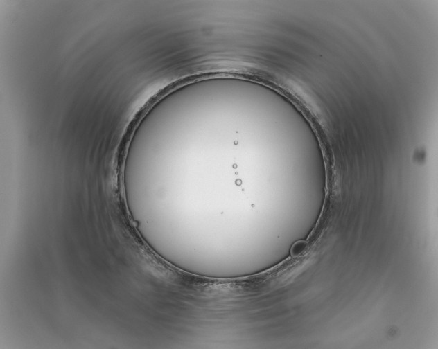 X0000091000883200708161936