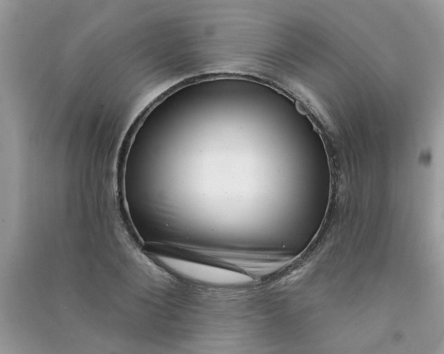 X0000091000884200708161936