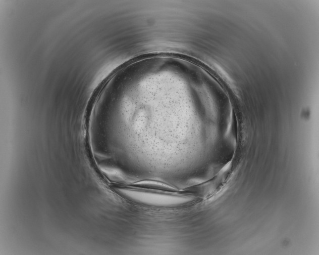 X0000091000885200708161936