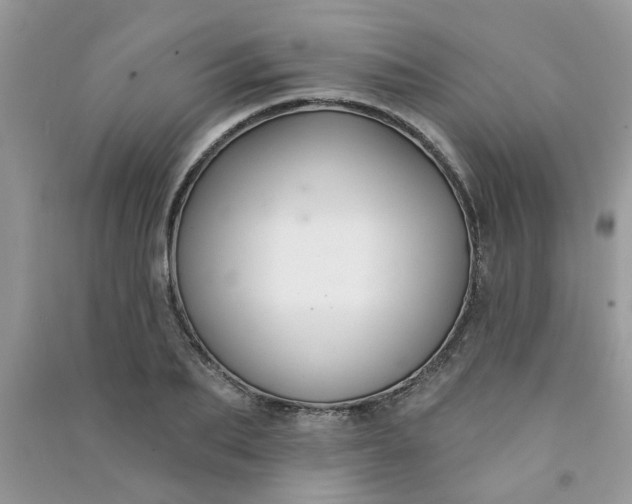 X0000091000887200708161936