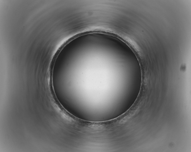 X0000091000888200708161936