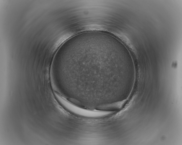 X0000091000889200708161936