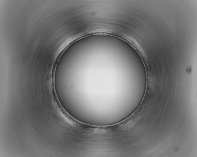 X0000091000890200708161936
