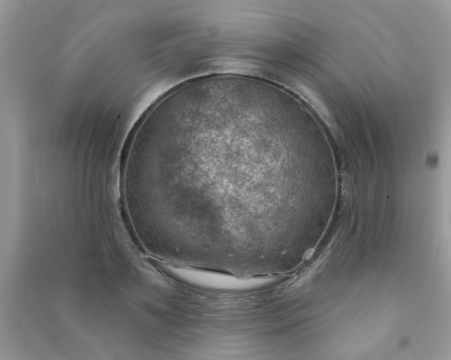 X0000091000891200708161936