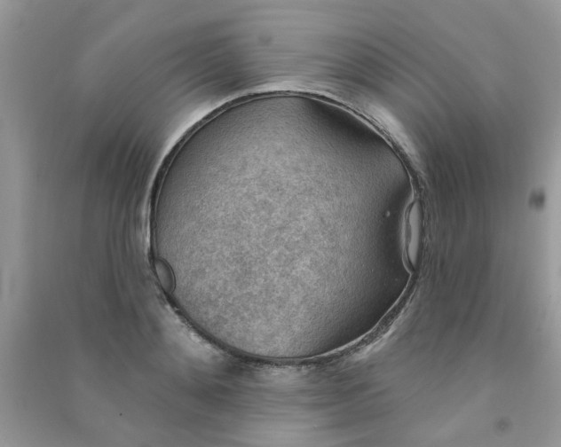 X0000091000892200708161936