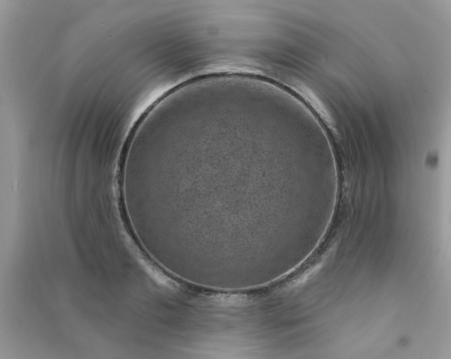X0000091000893200708161936