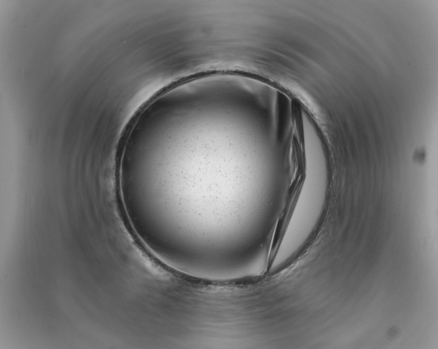 X0000091000894200708161936