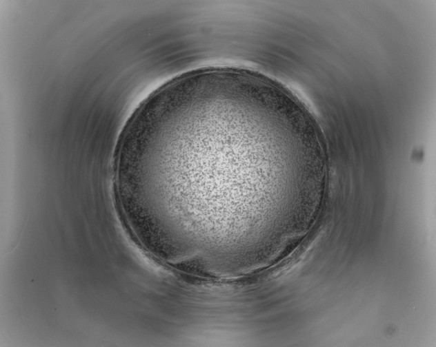 X0000091000895200708161936