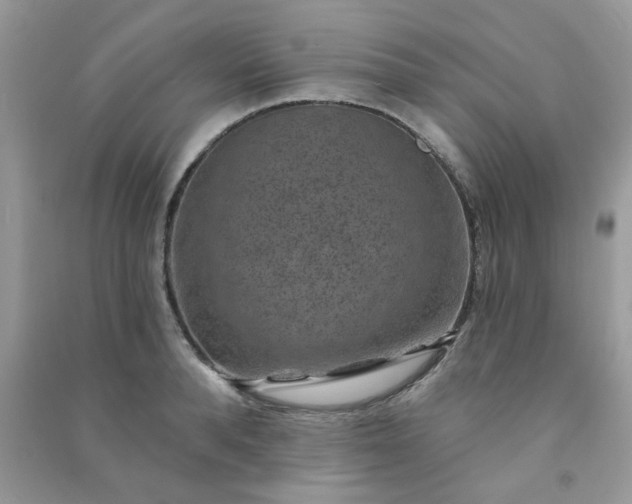 X0000091000896200708161936