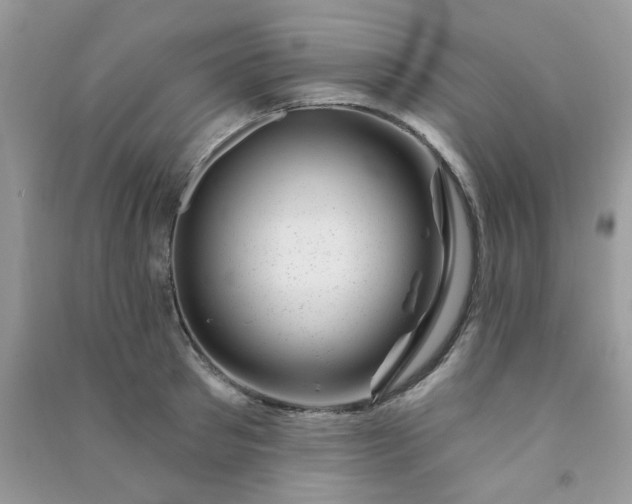 X0000091000897200708161935