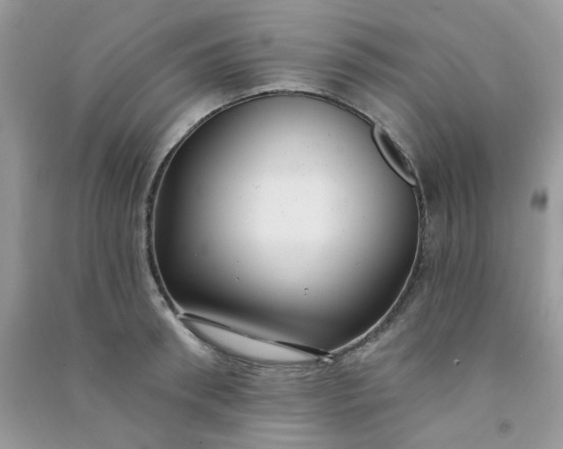 X0000091000898200708161935