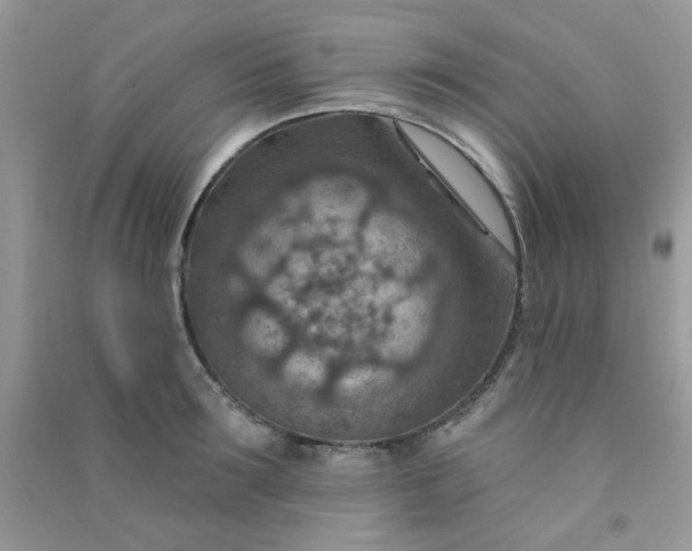 X0000091000899200708161935