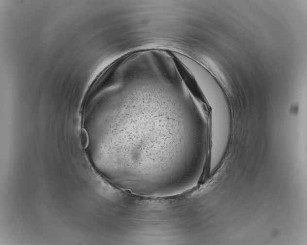 X0000091000900200708161935