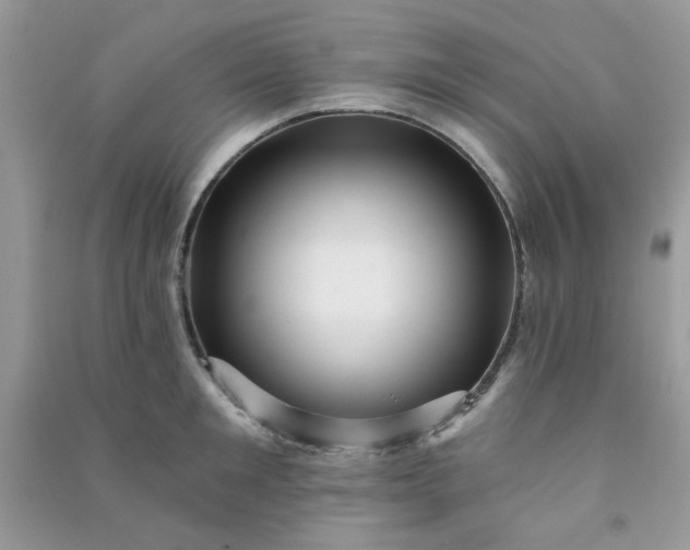 X0000091000901200708161935