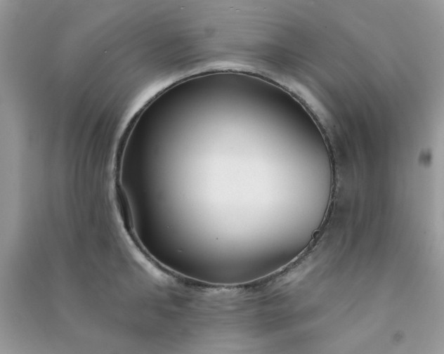 X0000091000902200708161935