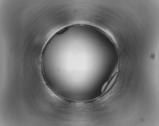 X0000091000903200708161935