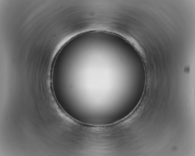 X0000091000904200708161935