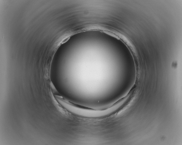 X0000091000905200708161935