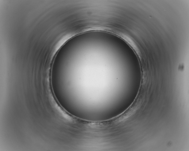 X0000091000906200708161935