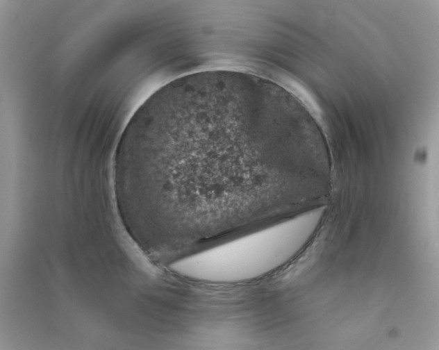 X0000091000907200708161935